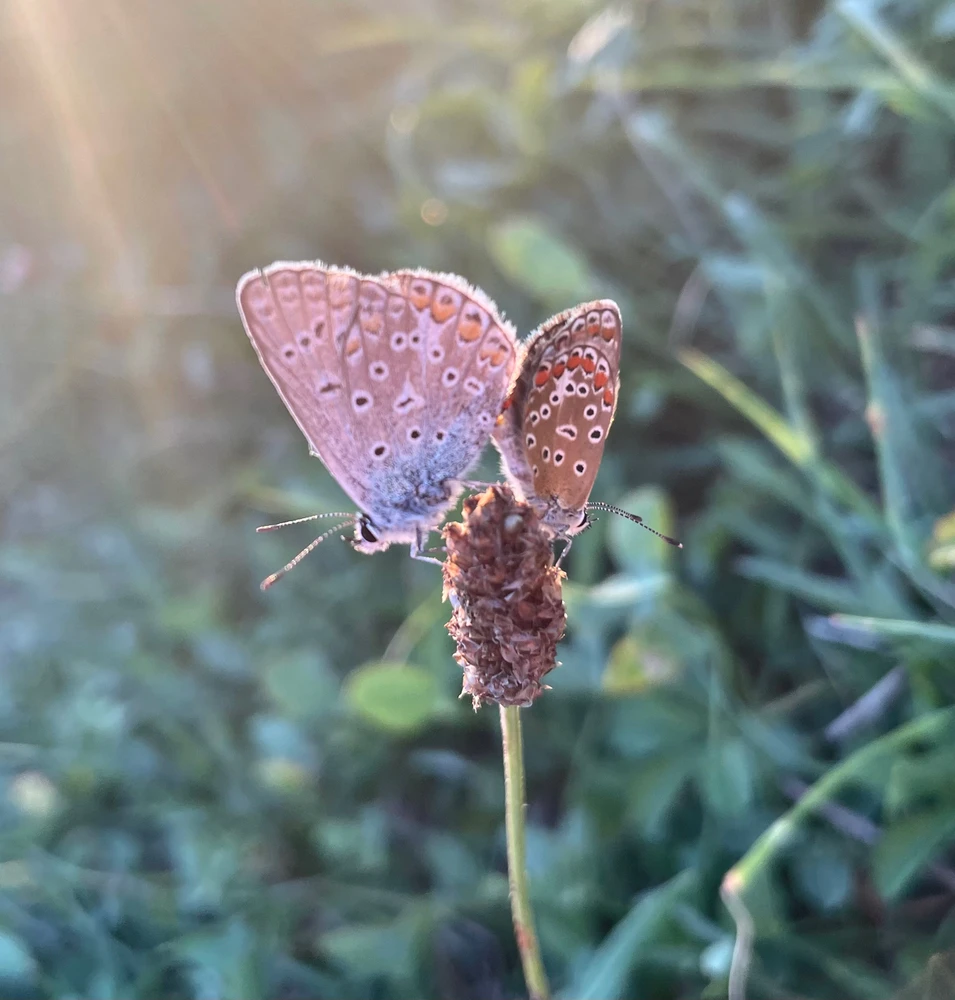 Immagine caricata da Gabriel