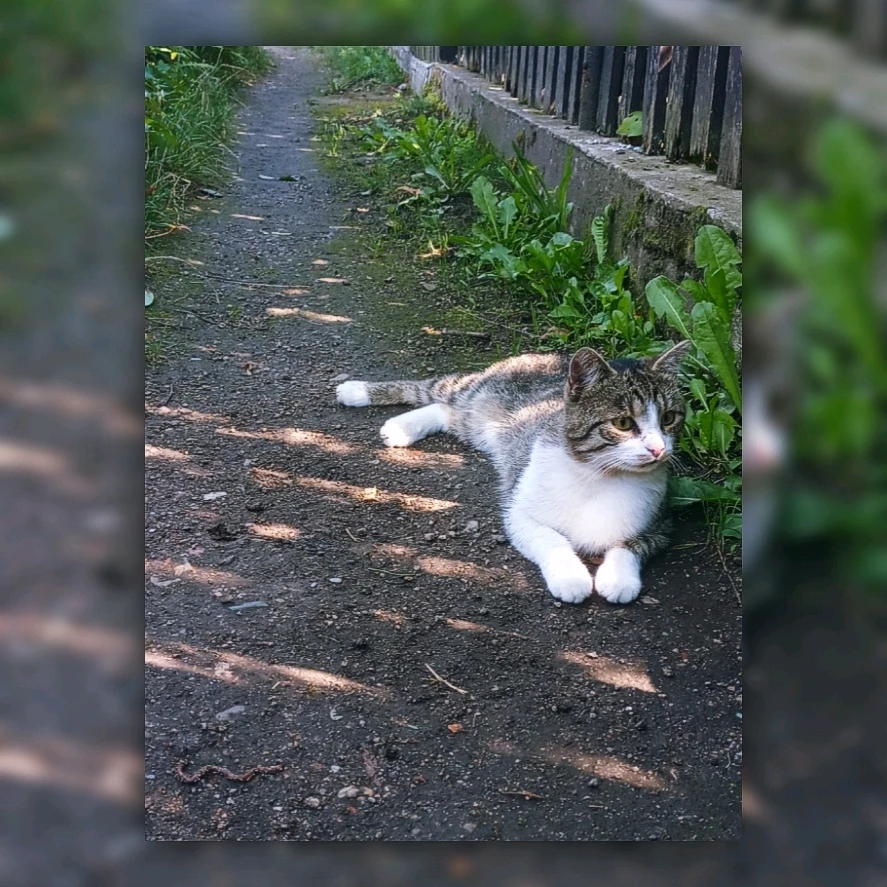 Zdjęcie dodane przez Kamila