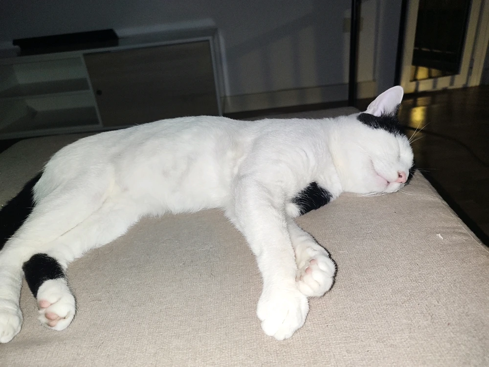 Imagen subida por David