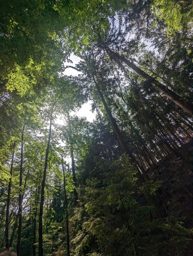 Bild hochgeladen von Ole