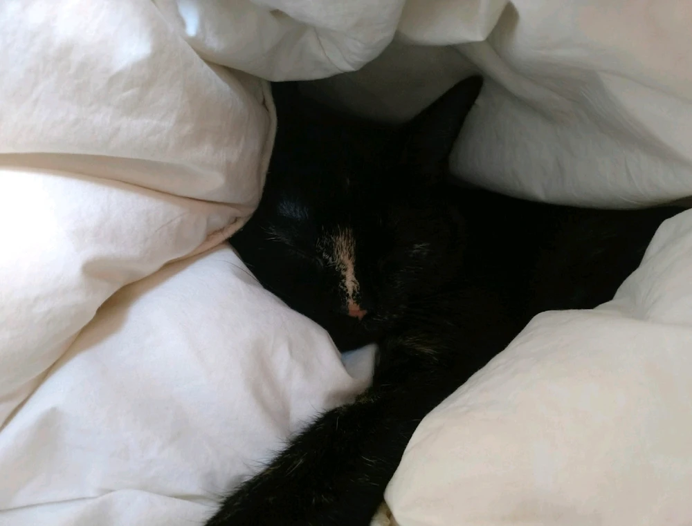 Bild hochgeladen von Simon