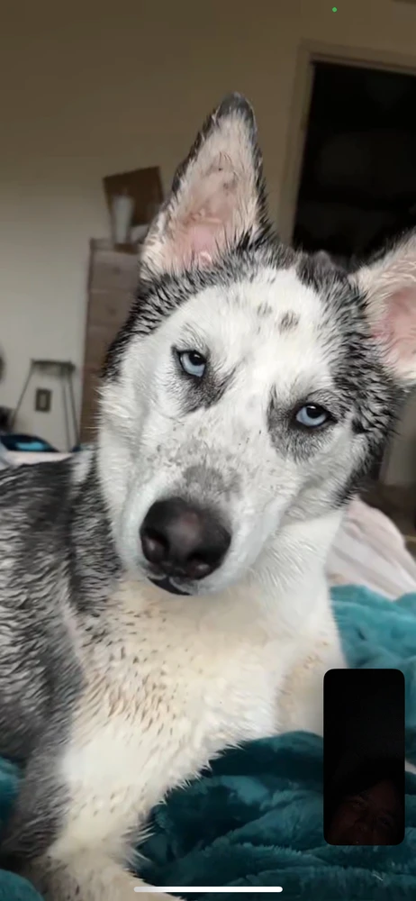 Image uploaded by Trish