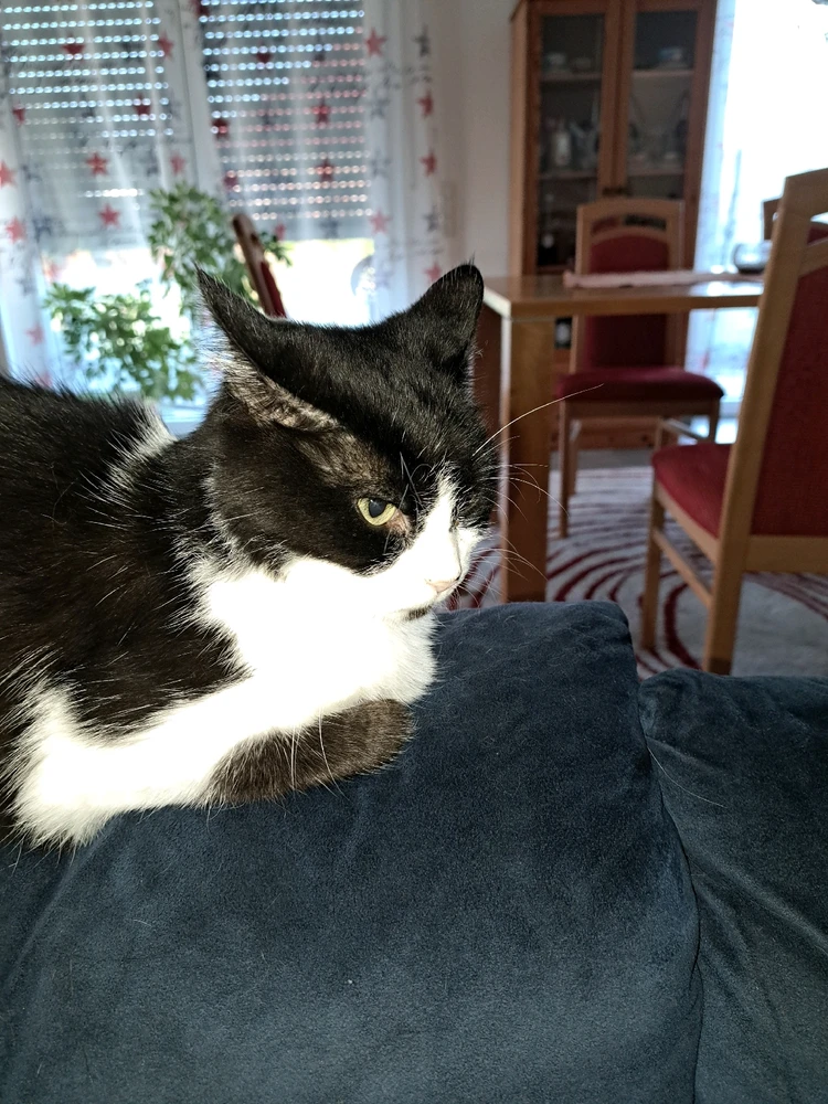 Bild hochgeladen von Corinna