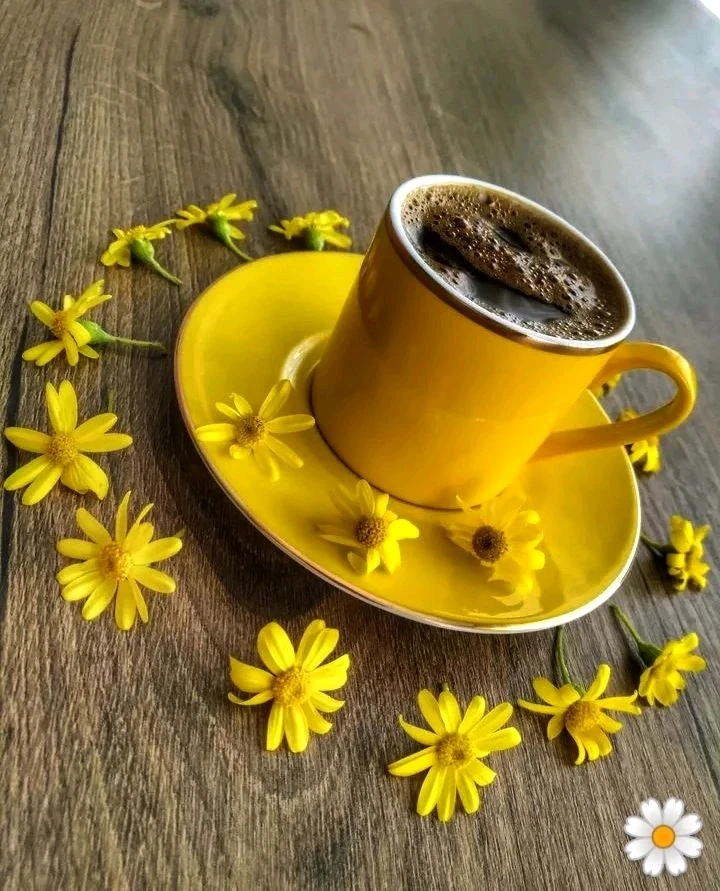 Фото загрузил Эрдем