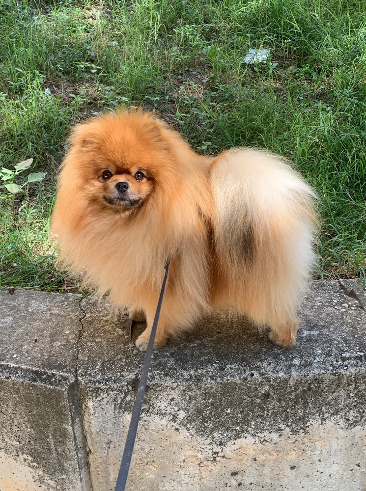 Immagine caricata da Ketty