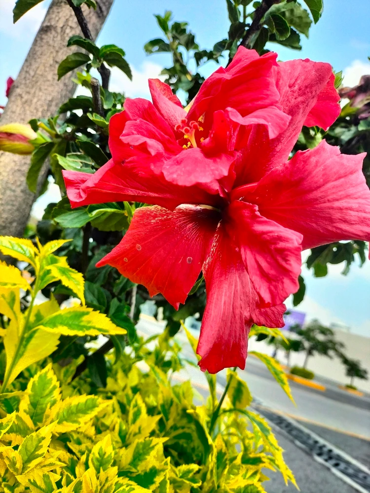 Image uploaded by Ariadna