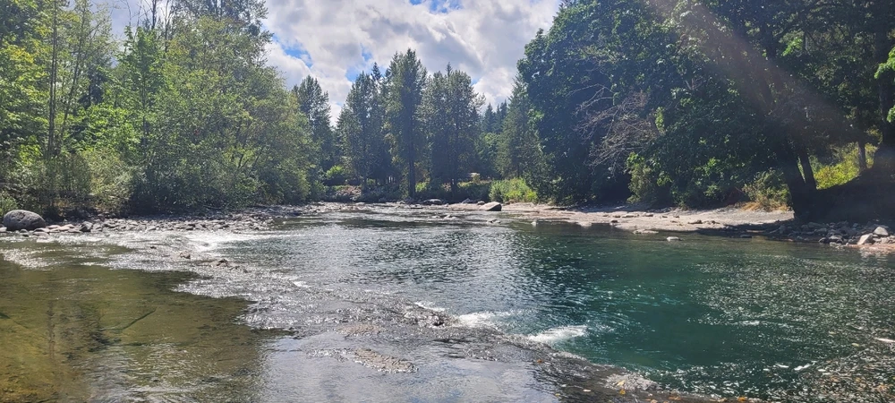 Image uploaded by Mason