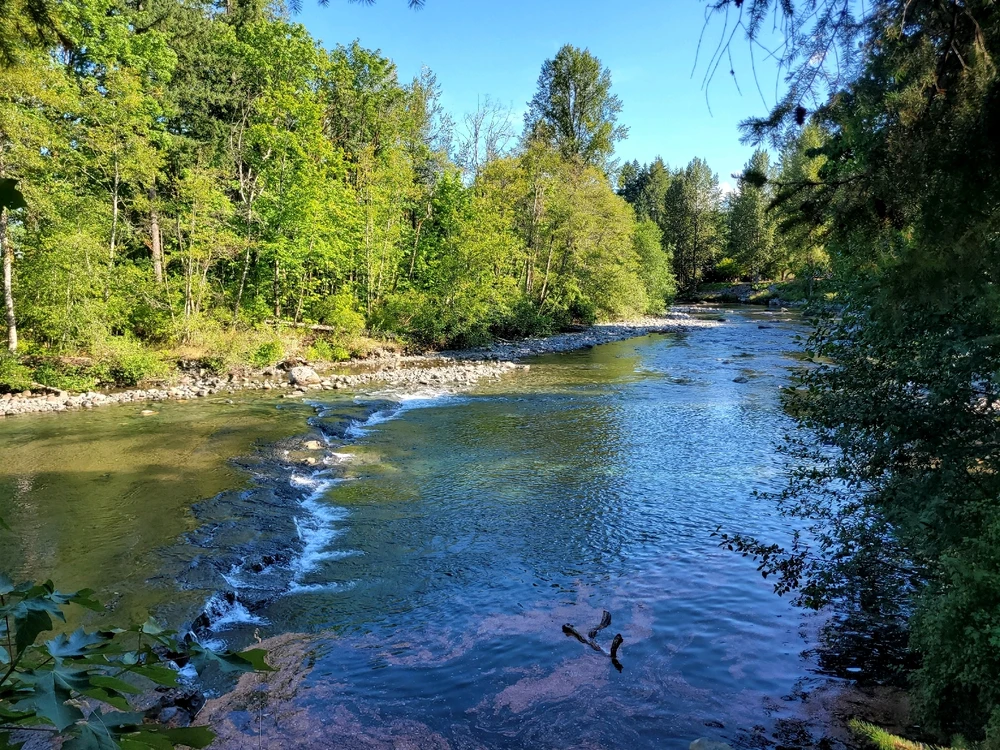 Image uploaded by Mason