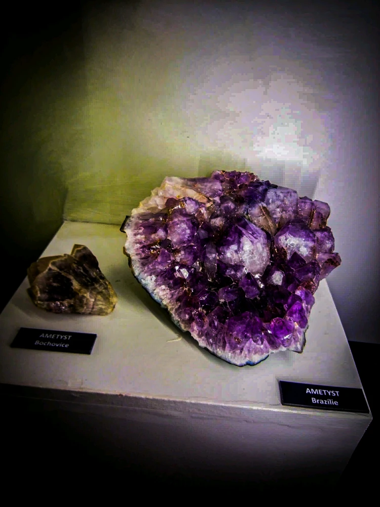 Image uploaded by Evelína