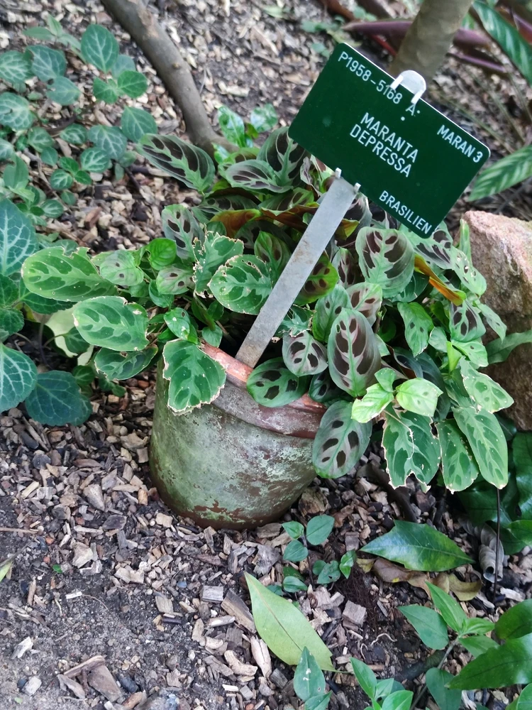 Zdjęcie dodane przez Morgan