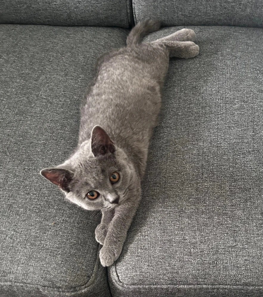 Obrázek nahrál Tereza