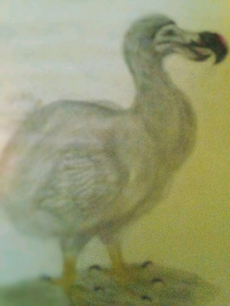 Imagen subida por Xhekö