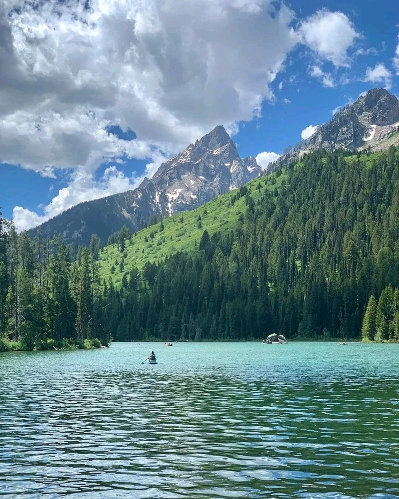 Image uploaded by Jan said