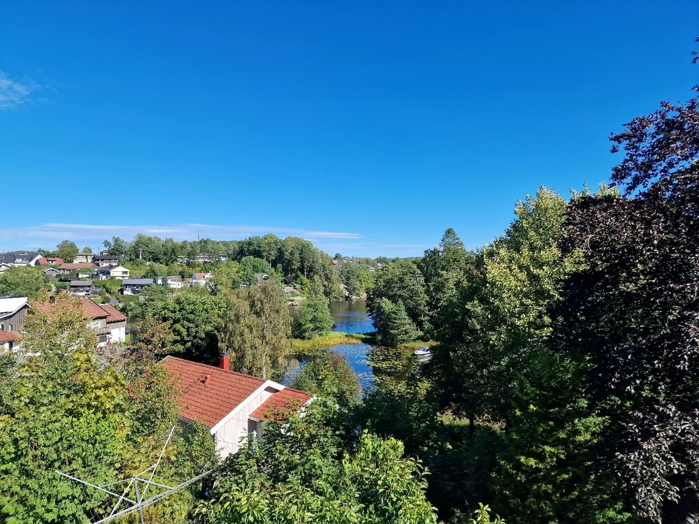 MadHatterがアップロードした画像