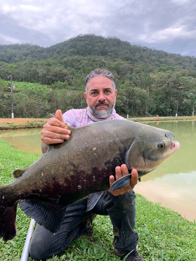 Image uploaded by Toni Cardoso