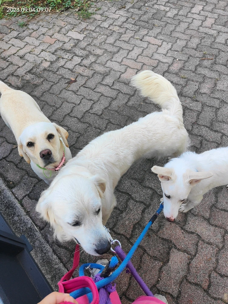 Ariがアップロードした画像