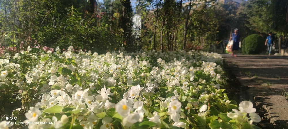Image uploaded by Cristi