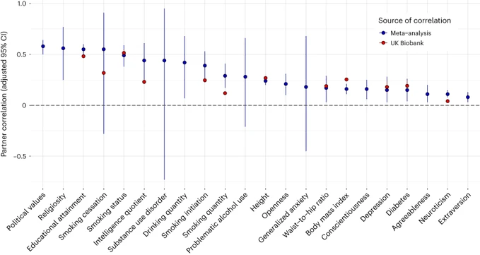 Image uploaded by Anton