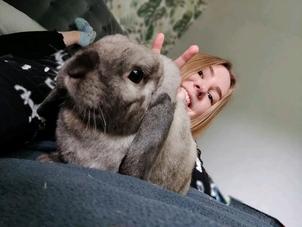 Bild hochgeladen von Isabel