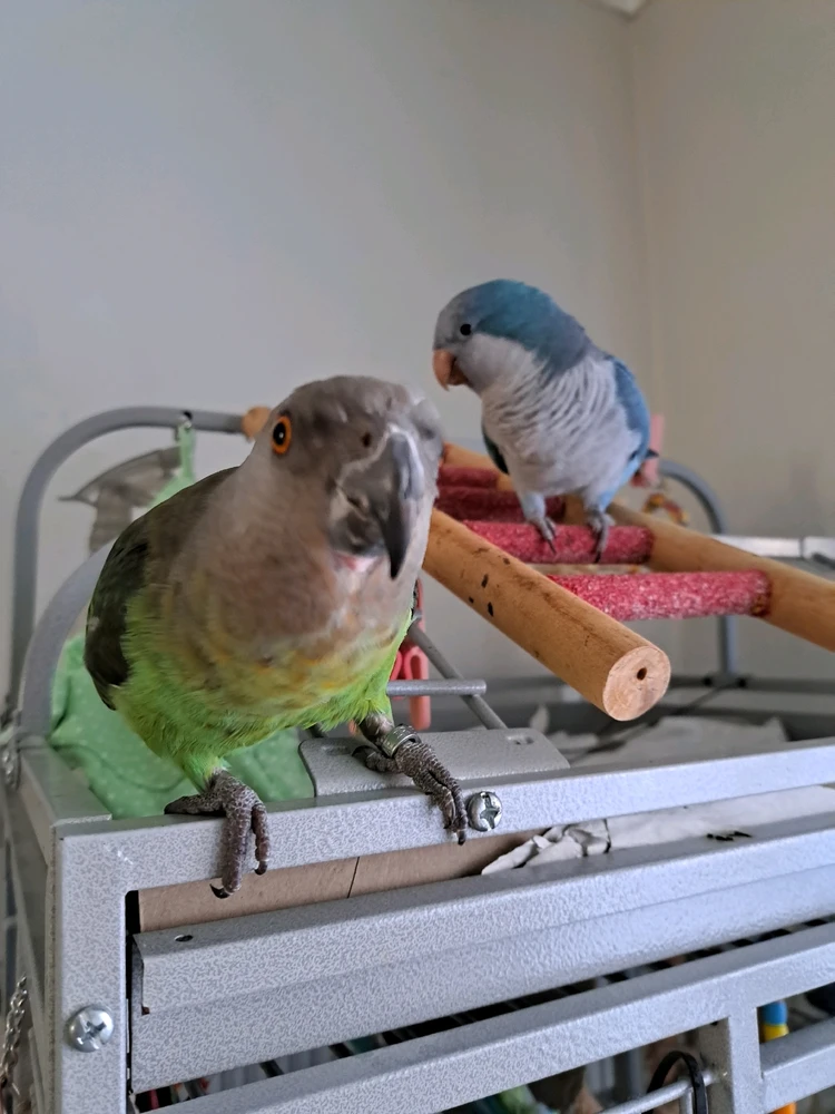 Image uploaded by Amy