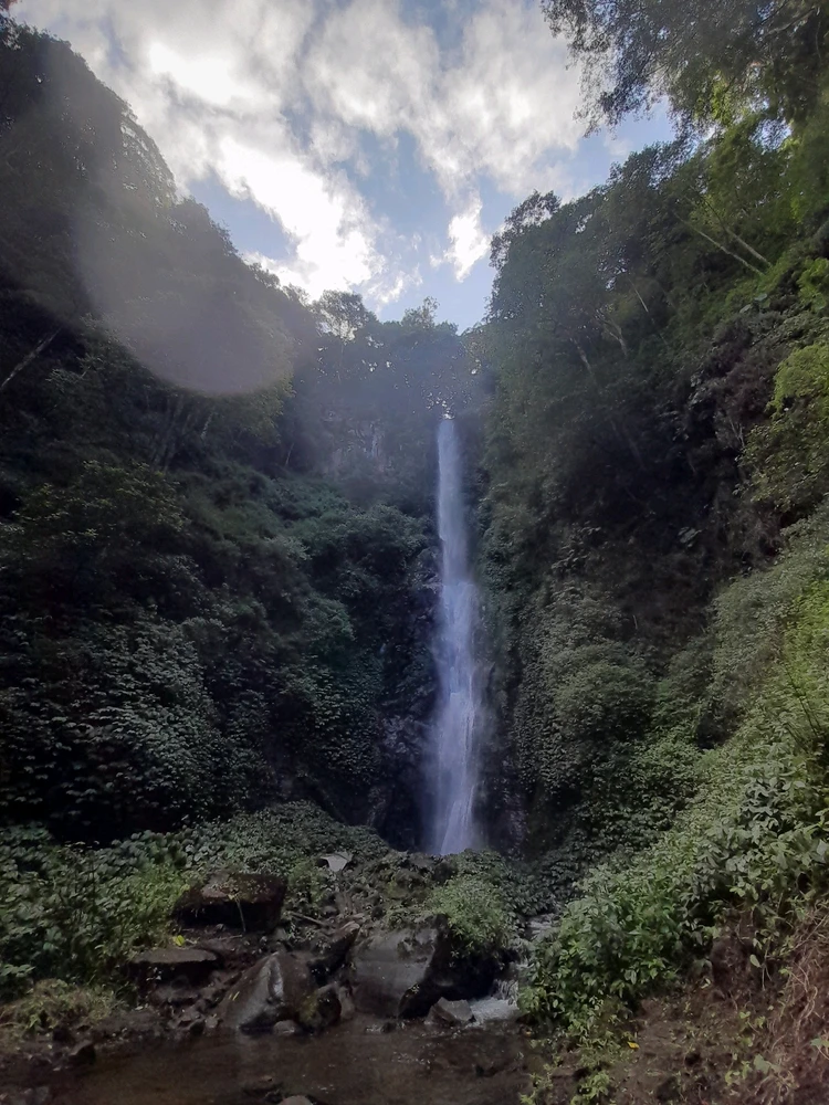 Gambar diunggah oleh Alif Dzikri