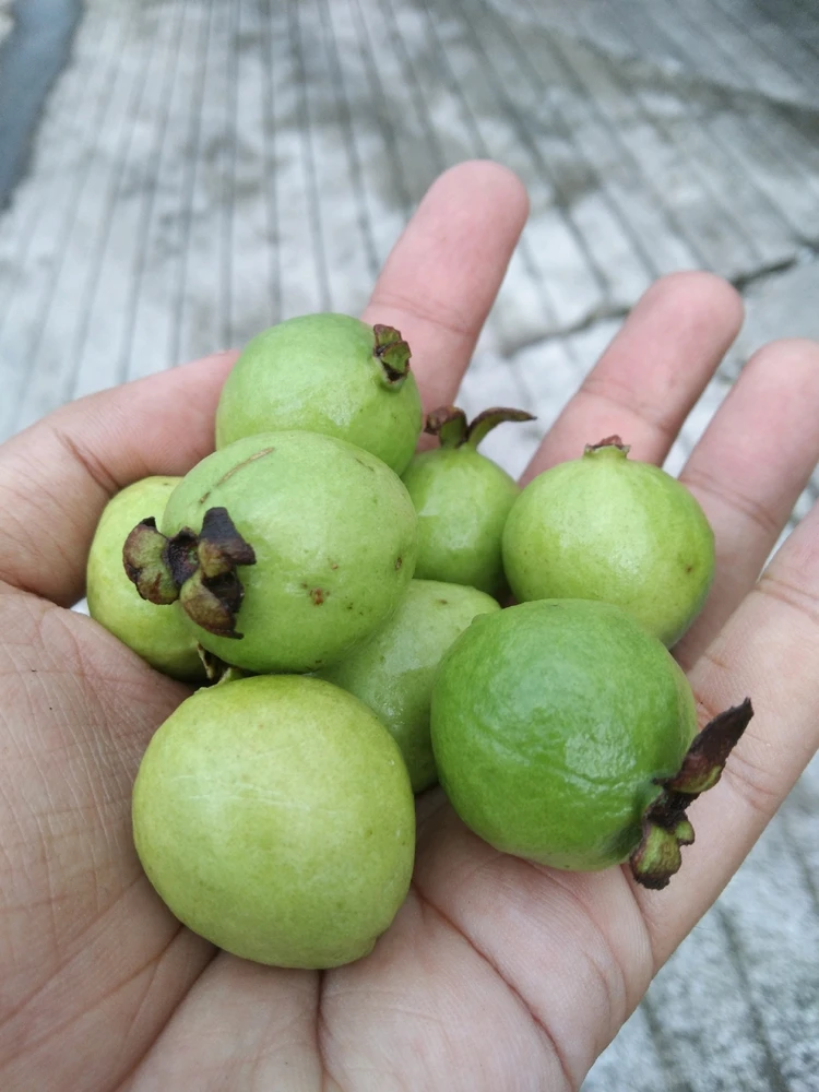 I-upload ni Arkin_Snape ang larawan