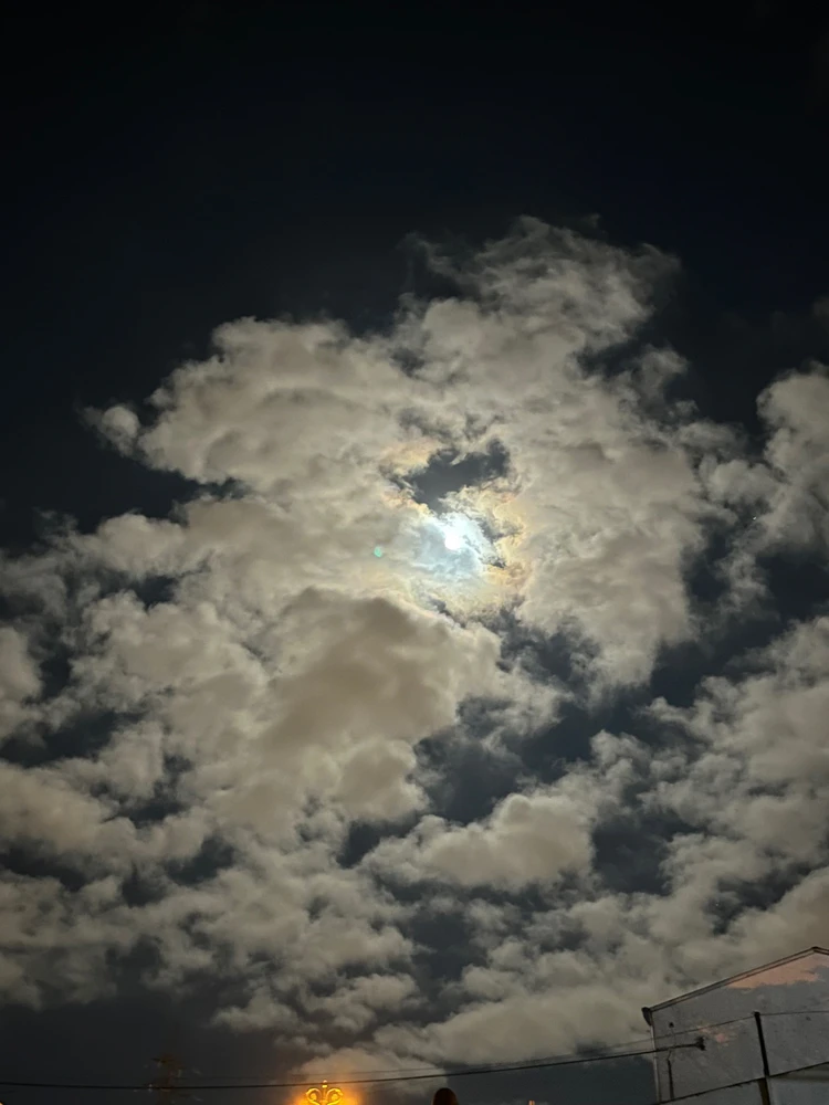 Mirhasim tərəfindən yüklənən şəkil