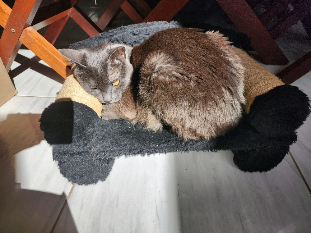 Immagine caricata da Italo