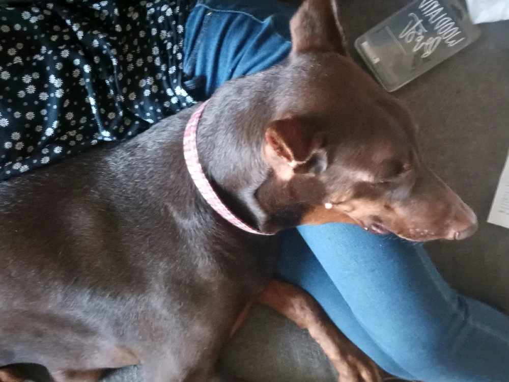 Image uploaded by Naomi Mattox