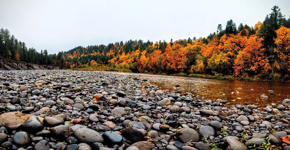 Oxbow park 