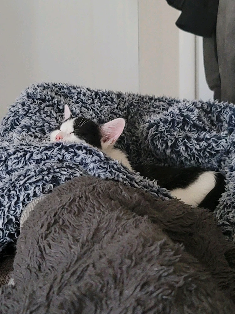 Image uploaded by Ken