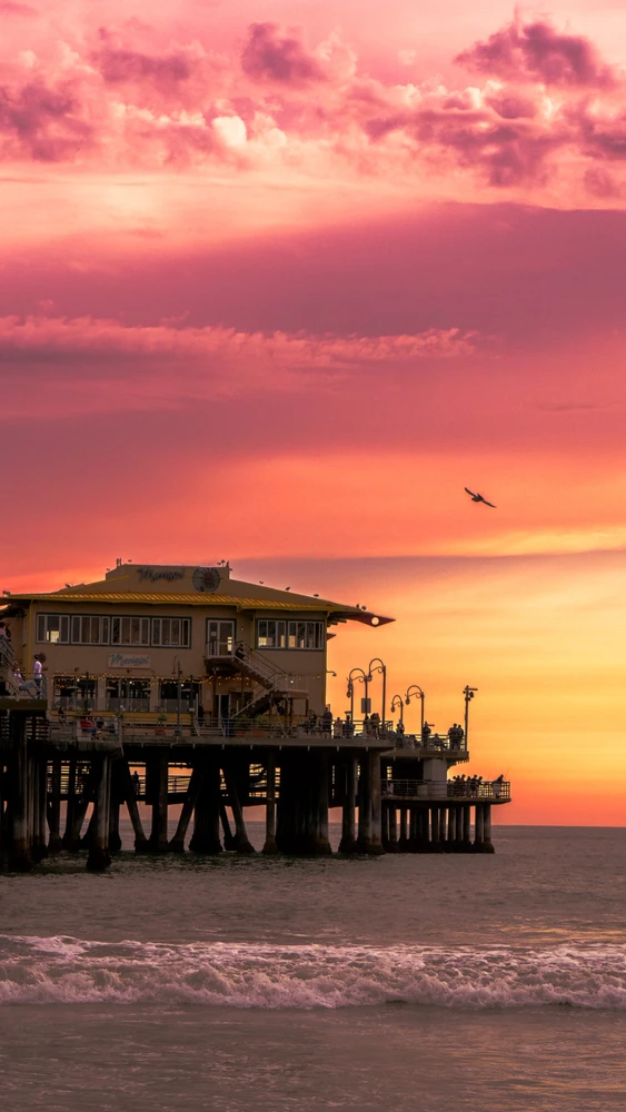 Image uploaded by Cody