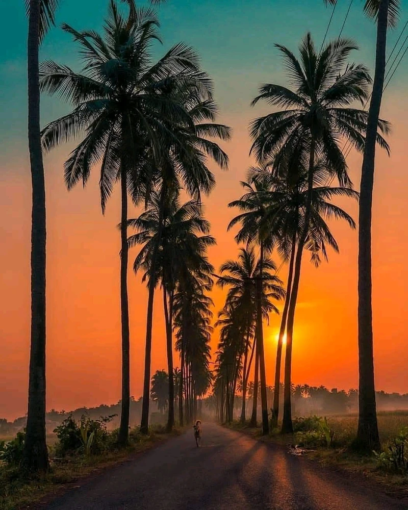 Image uploaded by Rohan