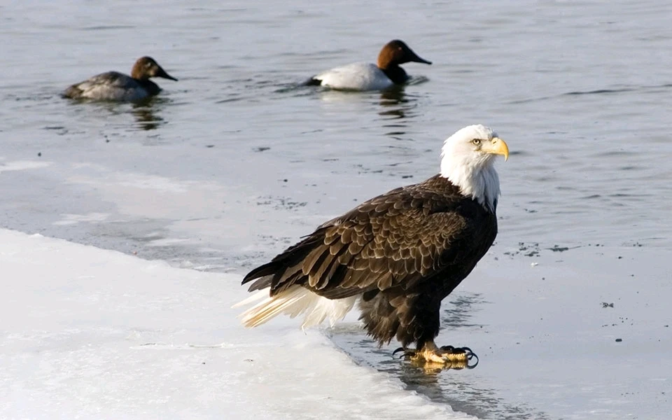 Image uploaded by John Jay Rambro