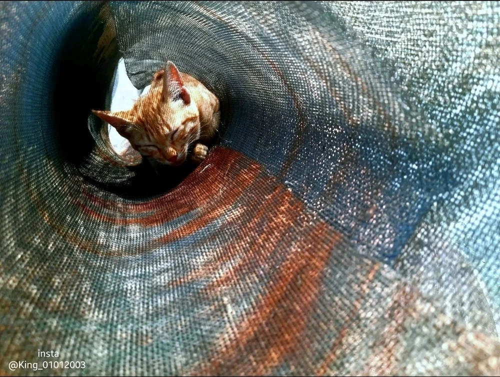 Baljinder Singh ਵੱਲੋਂ ਅੱਪਲੋਡ ਕੀਤੀ ਤਸਵੀਰ