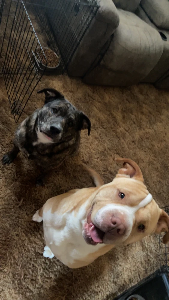 Image uploaded by Kyle