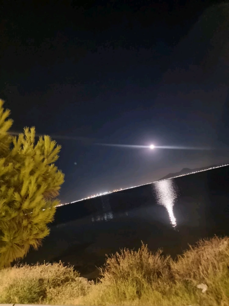 Image ajoutée par Oumayma