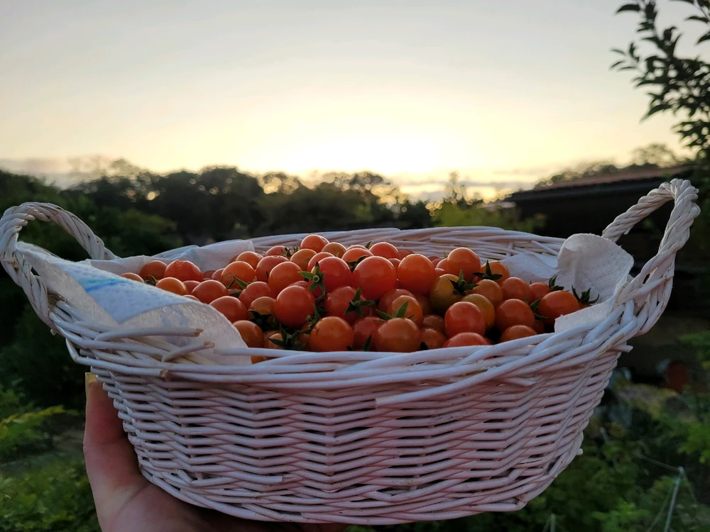 Bild hochgeladen von Valentina