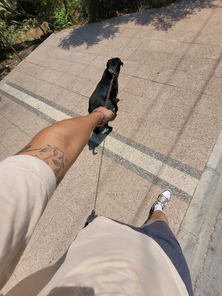 can tarafından yüklenen görsel