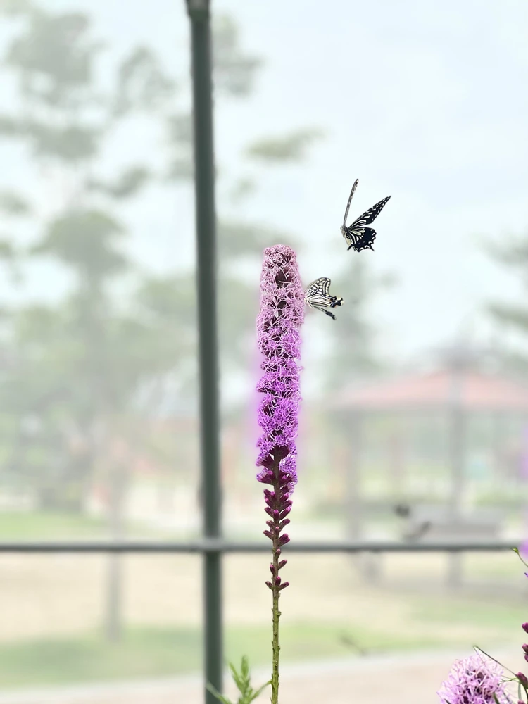 Image uploaded by cy