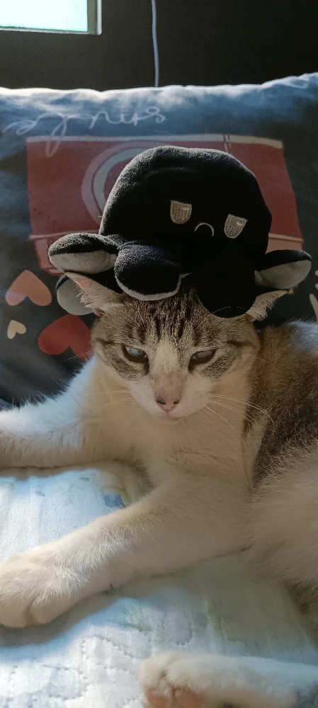 Image uploaded by Julia