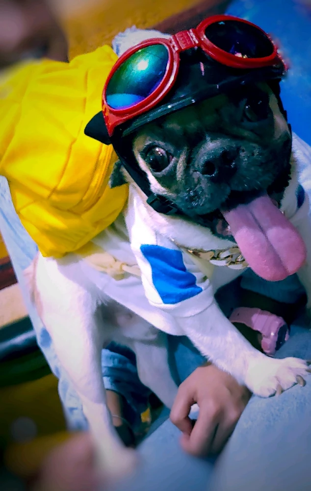 Image uploaded by Locca