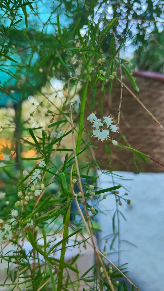 Image ajoutée par Chris