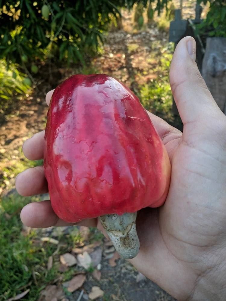 Imagem enviada por Desativado