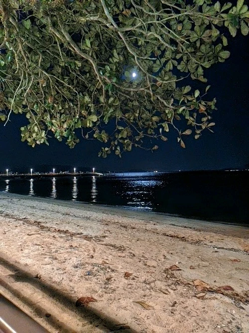 Imagem enviada por Ruan