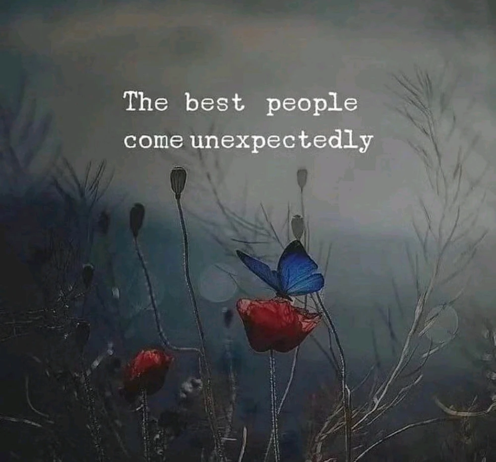 Image uploaded by Belle