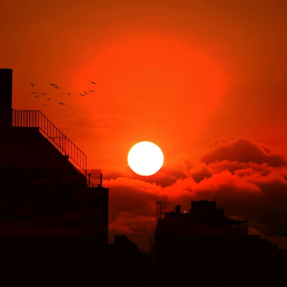 Image uploaded by Majid