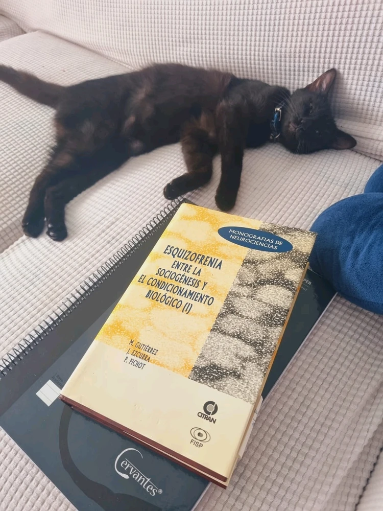 Imagen subida por Albrecht Wolf