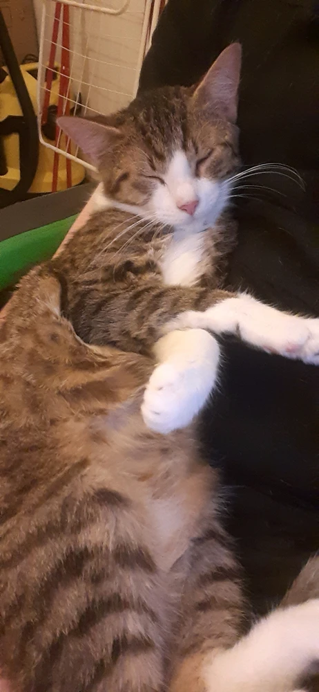 Bild hochgeladen von Dane