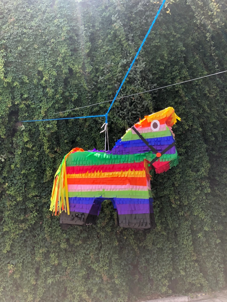 Image uploaded by Jasiel